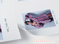 DAHLE(ダーレ）961　ミシン目刃替刃ユニット　507型専用